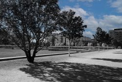 Gallus Viertel Frankfurt Street- und Architekturfotohrafie Ein ruhiger Spaziergang durch den Stadtpark an einem sonnigen Tag Gallus Viertel Frankfurt Street- und Architekturfotohrafie Stadtpark mit Bäumen und Gebäuden im Hintergrund an einem sonnigen Tag