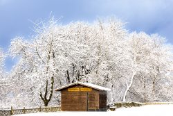 Landschaftsfotografie Großer Feldberg Taunus Winter Januar 2025 Holzhütte im verschneiten Wald an einem klaren Wintertag