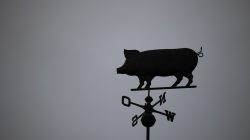 Halla Venezia Schwäbisch Hall Februar 2023 Eine Schweinefigur ziert die Wetterfahne eines Daches Halla Venezia Schwäbisch Hall Februar 2023 Schweine-Wetterfahne auf einem Dach vor grauem Himmel