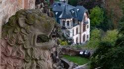 Heidelberg Natur- Architekturfotografie Löwenskulptur auf Burgmauer mit Herrenhaus im Hintergrund