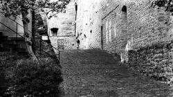 Heidelberg Natur- Architekturfotografie Pflastersteingasse in alter europäischer Stadt mit Steinmauern
