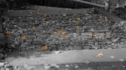 Heidelberg Natur- Architekturfotografie Herbstliche Blätter auf einem gepflasterten Gehweg