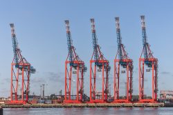 Helgolandreise August 2023 Beeindruckende Hafenkräne an der Elbe im Hamburger Hafen Helgolandreise August 2023 Fünf große Hafenkräne am Hamburger Hafen für Containerumschlag