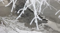 Landschaftsfotografie Winter Gernsheim Dezember 2022 Ein schneebedeckter Ast erstreckt sich über einen teils gefrorenen Fluss Landschaftsfotografie Winter Gernsheim Dezember 2022 Zweig mit Schnee über gefrorenem Fluss mit Eisschicht