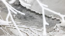 Landschaftsfotografie Winter Gernsheim Dezember 2022 Ein kleiner Fluss fließt unter schneebedeckten Zweigen durch eine vereiste Landschaft Landschaftsfotografie Winter Gernsheim Dezember 2022 Fluss unter frostbedeckten Ästen mit schmelzendem Eis