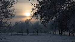 Landschaftsfotografie Winter Gernsheim Dezember 2022 Ein ruhiger Wintermorgen mit einem glühenden Sonnenaufgang über einer frostigen Landschaft Landschaftsfotografie Winter Gernsheim Dezember 2022 Verschneite winterliche Landschaft mit Sonnenaufgang und frostbedeckten Bäumen
