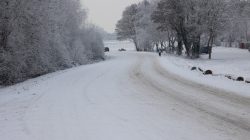 Landschaftsfotografie Winter Gernsheim Dezember 2022 Ein stiller Wintertag auf einer schneebedeckten Landstraße. Landschaftsfotografie Winter Gernsheim Dezember 2022 Verschneite Landstraße mit winterlicher Landschaft und Fußgänger