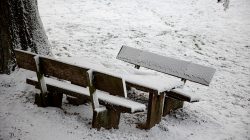 Landschaftsfotografie Winter Gernsheim Dezember 2022 Ein verschneiter Tisch mit Bänken in einem idyllischen Park während des Winters Landschaftsfotografie Winter Gernsheim Dezember 2022 Schneeszenen mit Holzbänken und Tisch im winterlichen Park