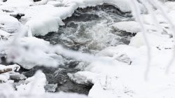 Landschaftsfotografie Winter Gernsheim Dezember 2022 Ein Fluss mit gefrorenen Ufern und Schnee bedeckt Landschaftsfotografie Winter Gernsheim Dezember 2022 Verschneiter Fluss mit gefrorenen Ufern und fließendem Wasser