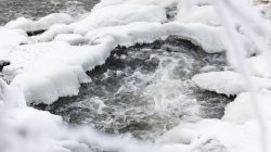 Landschaftsfotografie Winter Gernsheim Dezember 2022 Ein teilweise zugefrorener Bach fließt durch schneebedeckte Landschaft