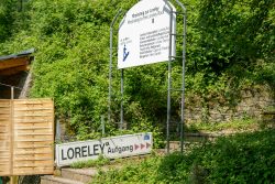 Loreley - Fotoserie - Landschaftsfotografie - Aloys Peter Trenz Wegweiser zum Loreley-Felsen am Rhein in einer grünen Umgebung