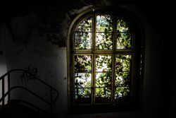 Lost Places Fotografie - Altes Polizeipräsidium Frankfurt Verlassenes Gebäude mit überwachsenem Fensterbogen