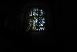 Lost Places Fotografie - Altes Polizeipräsidium Frankfurt Dunkles Treppenhaus mit überwachsenem Fenster in verfallenem Gebäude