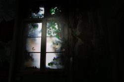 Lost Places Fotografie - Altes Polizeipräsidium Frankfurt Verfallenes Fenster mit überwachsenen Blättern im schwachen Licht