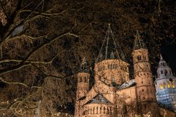 Mainz Weihnachtsmarkt Dezember 2023 Beleuchteter Dom bei Nacht durch kahle Bäume in Mainz