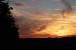 Nachtfotografie Light Painting Frankfurt Sonnenuntergang mit Wolken und Vögeln am Himmel