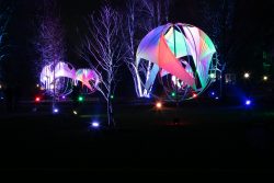 Palmengarten Frankfurt Winterlichter Januar 2022 Leuchtende Kunstinstallation im Freien bei Nacht mit bunten Lichtern