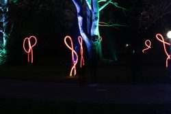 Palmengarten Frankfurt Winterlichter Januar 2022 Garten im Dunkeln mit leuchtenden roten Lichtinstallationen