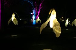 Palmengarten Frankfurt Winterlichter Januar 2022 Leuchtende Schneeglöckchen-Installationen in einem abendlichen Park