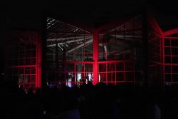 Palmengarten Frankfurt Winterlichter Januar 2022 Beleuchtetes Glashaus in der Nacht mit rotem Licht