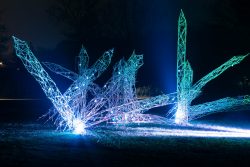 Palmengarten Frankfurt Winterlichter Januar 2022 Beleuchtete Metallskulpturen bei Nacht im Park