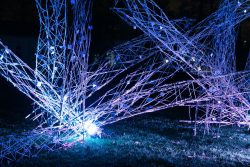 Palmengarten Frankfurt Winterlichter Januar 2022 Leuchtende geometrische Skulptur im Dunkeln auf einer Wiese