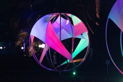 Palmengarten Frankfurt Winterlichter Januar 2022 Abendszene mit leuchtenden, bunten Skulpturen im Dunkeln