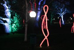 Palmengarten Frankfurt Winterlichter Januar 2022 Leuchtende rote Skulpturen in einem parkähnlichen Garten bei Nacht