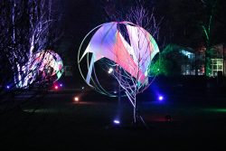 Palmengarten Frankfurt Winterlichter Januar 2022 Nachtbeleuchtete Skulpturen in einem Park mit bunten Lichteffekten