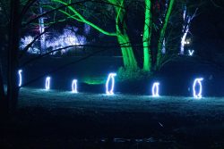 Palmengarten Frankfurt Winterlichter Januar 2022 Leuchtende Pinguinfiguren im nächtlichen Park bei Lichterfest