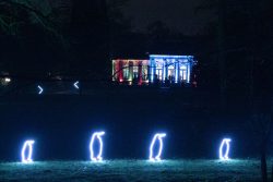 Palmengarten Frankfurt Winterlichter Januar 2022 Leuchtende Pinguin-Silhouetten vor illuminiertem Gebäude bei Nacht