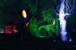 Palmengarten Frankfurt Winterlichter Januar 2022 Nächtliche Kunstinstallation mit beleuchteten Skulpturen und Bäumen