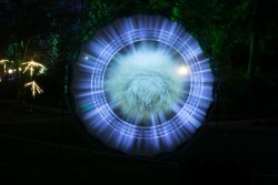 Palmengarten Frankfurt Winterlichter Januar 2022 Leuchtendes Kunstwerk in Form einer strahlenden blau-weißen Scheibe im Wald