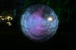 Palmengarten Frankfurt Winterlichter Januar 2022 Abstraktes Lichtkunstwerk bei Nacht im Wald