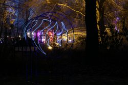 Palmengarten Frankfurt Winterlichter Januar 2022 Neonlicht-Installation im stimmungsvollen nächtlichen Park