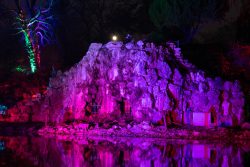 Palmengarten Frankfurt Winterlichter Januar 2022 Beleuchteter Felsen mit pinkem und blauem Licht bei Nacht