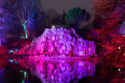 Palmengarten Frankfurt Winterlichter Januar 2022 Beleuchteter Felsen mit Spiegelung in buntem Licht bei Nacht