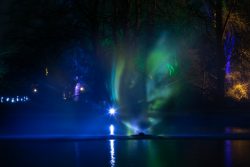 Palmengarten Frankfurt Winterlichter Januar 2022 Lichtinstallation im nächtlichen Wald mit grünen und blauen Projektionen