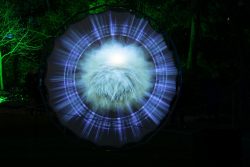 Palmengarten Frankfurt Winterlichter Januar 2022 Beleuchtete Kunstinstallation im Wald bei Nacht