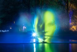 Palmengarten Frankfurt Winterlichter Januar 2022 Blau-grünes Gesicht im holografischen Licht im Wald