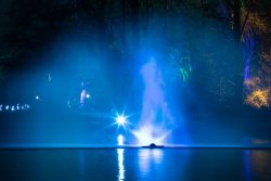 Palmengarten Frankfurt Winterlichter Januar 2022 Leuchtender Springbrunnen im nächtlichen Park mit blauem Licht