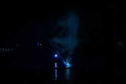 Palmengarten Frankfurt Winterlichter Januar 2022 Lichteffekte vor einem dunklen Hintergrund bei Nacht