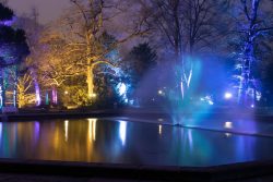Palmengarten Frankfurt Winterlichter Januar 2022 Beleuchteter Teich im Park mit bunten Bäumen und Wasserfontäne bei Nacht