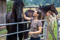 Reitstunde Fotografie Aloys Peter Trenz Frau streichelt schwarzes Pferd auf grüner Weide mit mehreren Pferden