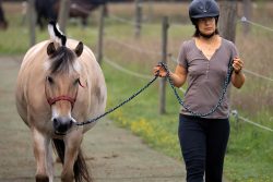 Reitstunde Fotografie Aloys Peter Trenz Frau mit Helm führt ein beigefarbenes Pferd auf einem Reitplatz