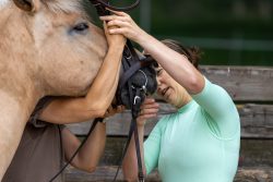 Reitstunde Fotografie Aloys Peter Trenz Frau hilft beim Anlegen des Zaums auf einem blonden Pferd