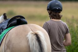 Reitstunde Fotografie Aloys Peter Trenz Reiter mit Helm neben einem Pferd auf einer Wiese