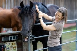 Reitstunde Fotografie Aloys Peter Trenz Frau streichelt schwarzen Pferd am Zaun mit Lächeln