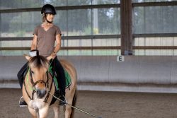 Reitstunde Fotografie Aloys Peter Trenz Frau reitet ein Pferd in einer Reithalle mit Helm und Reitausrüstung