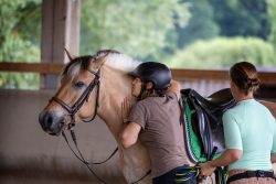 Reitstunde Fotografie Aloys Peter Trenz Menschen interagieren mit einem Fjordpferd in einer Reithalle